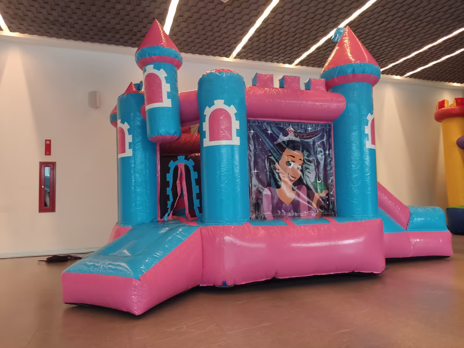 Inflables temáticos para fiesta infantil: princesas, piratas y más
