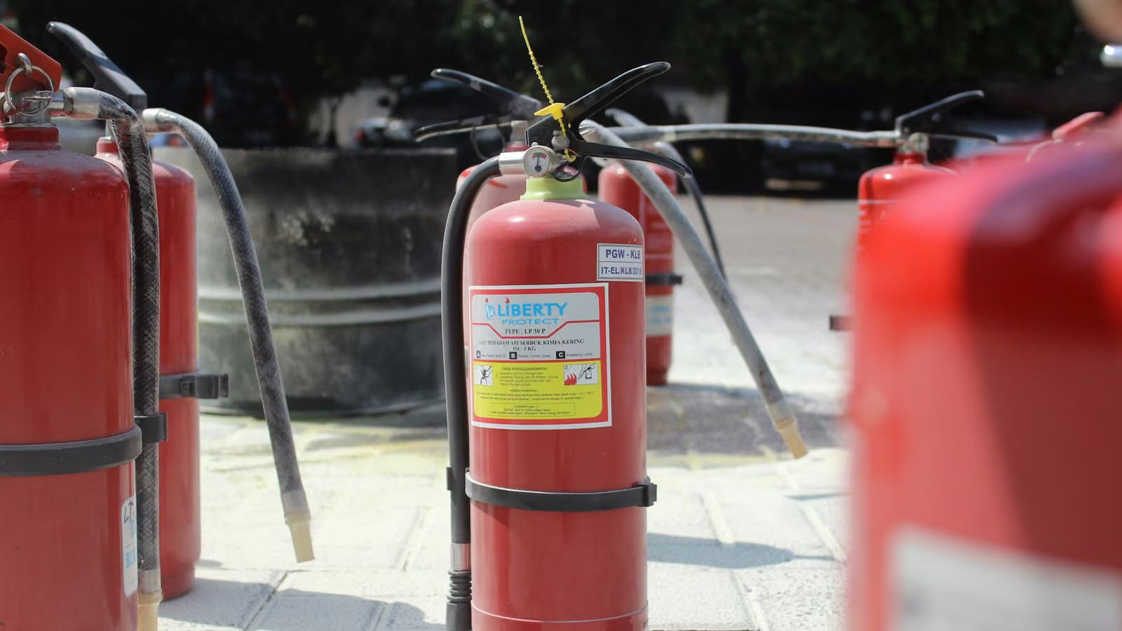 Grupo de extintores rojos listos para servicio sobre una banqueta